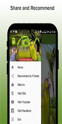 Budgie sounds Chirping android App screenshot 1