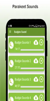 Budgie sounds Chirping android App screenshot 2