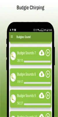 Budgie sounds Chirping android App screenshot 3