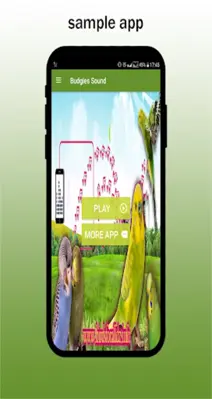 Budgie sounds Chirping android App screenshot 4